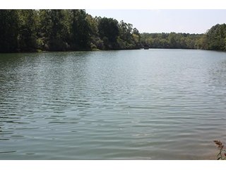 Property photo 65 - 419 +/- Acres offered in 6 Tracts, Land Auction